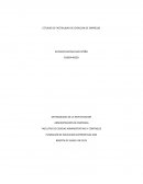 ESTUDIO DE FACTIBILIDAD DE CREACION DE EMPRESAS