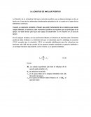 LA LONGITUD DE ANCLAJE POSITIVO