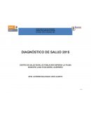 Diagnostico de salud de la localidad La Palma 2015