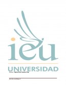 Pensamiento politico