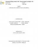 TAREA 4 CONSTRUCCION COLABORATIVA DEL CONOCIMIENTO