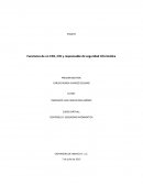 Controles y Seguridad Informatica. Funciones de un CEO, CIO y responsable de seguridad informática