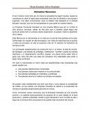 Heineken Resumen