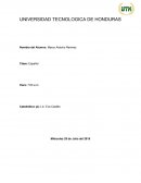 Informe hecho con escarabajo