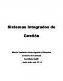 Sistemas Integrados de Gestión. Gestión de Calidad