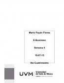 Semana 7 ebusiness