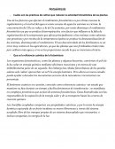 Fotosíntesis. Cuáles son las prácticas de cultivo que reducen la actividad fotosintética de las plantas