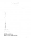 DESCRIPCIÓN DEL NÚCLEO PROBLEMICO