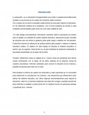 Cuales son los Fundamentos de Sociología