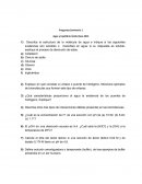 Seminario acido base