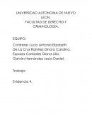 Evidencia 4. Los elementos comunes en los diversos sistemas de arte