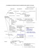 Flujograma circular 2345