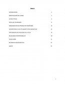 Informe cada curso primaria