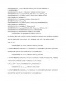 Hijas de la luz del norte