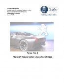 COMO HIZO PEUGEOT PARA REDUCIR COSTOS Y GANAR RENTABILIDAD