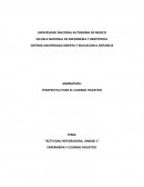 Actividad integradora. Enfermeria y cuidado holistico