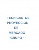 TECCNICAS DE PROYECCION