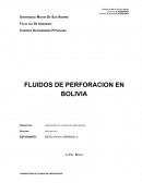Registros de buzamiento