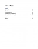 NDOCENTESx: La tecnología en las escuelas argentinas de 2015