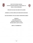 PROCESO DE INFORME DE LA OPCION CURRICULAR DE INNOVACIÓN TECNOLÓGICA