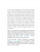 Falsa publicidad Nazzi