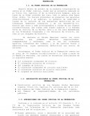 LA GRAN ORGANIZACION PODER JUDICIAL