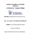 Factibilidad de mercado Actividad