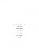 Agentes ambientales en lugares de trabajo