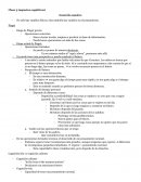 El nuevo Desarrollo humano procesos cognitivos en la adolescencia