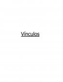 Vinculos - Ensayo
