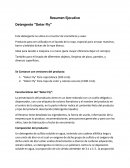 Resumen Ejecutivo Detergente “Deter Fly”