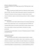 Sistemas de informacion para PYMES