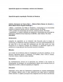 Embarazo