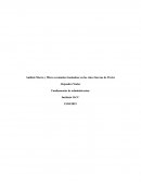 Análisis Macro y Micro económico basándose en las cinco fuerzas de Porter La empresa Claro Chile