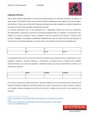 Análisis del sector servicios en querétaro y oportunidad para estética canina