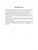 Actitudes. Función de organización del conocimiento