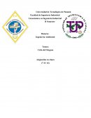 Licenciatura en Ingeniería Industrial II Semestre