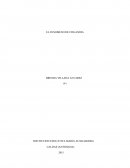 El fenomeno de Finlandia