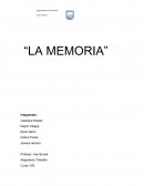 La memoria. Enfermedades relacionadas con la memoria