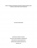 ANÁLISIS Y REDISEÑO DE INSTRUMENTOS DE MEDICIÓN DE OPINIÓN DE EMPRESAS-CLIENTE Y PERSONAL DE CONTRATACIÓN DE OCUPAR TEMPORALAES