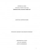 Derechos para los que no tienen voz