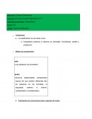 Planificacion animales 4°
