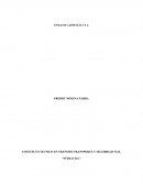 EL FUTURO DEL TRANSPORTE