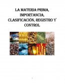 La materia prima, importancia, clasificación, registro y control