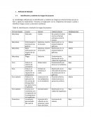 ANÁLISIS DE RIESGOS Identificación y medición de riesgos del proyecto