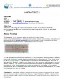 LABORATORIO 1 El LED