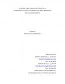 Politica de desarrollo