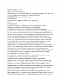 Como hacer un proyecto