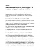¿Segmentación o diversificación: una aproximación a las condiciones de la profesión académica en México?