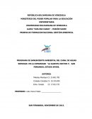 PROGRAMA DE SANEAMIENTO AMBIENTAL DEL CANAL DE AGUAS SERVIDAS EN LA COMUNIDAD “LA GUAMITA SECTOR I”, SAN FERNANDO, ESTADO APURE.